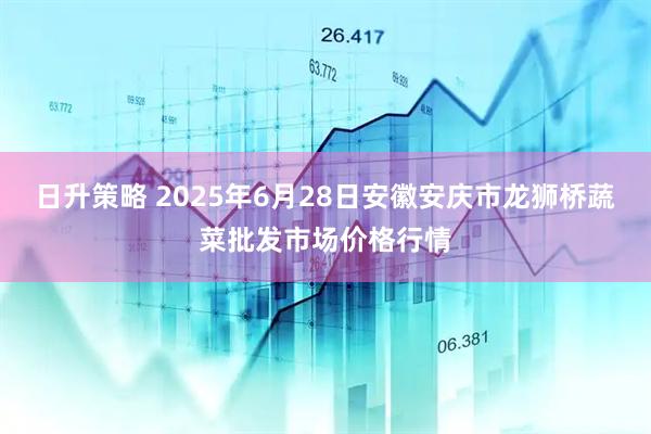日升策略 2025年6月28日安徽安庆市龙狮桥蔬菜批发市场价格行情