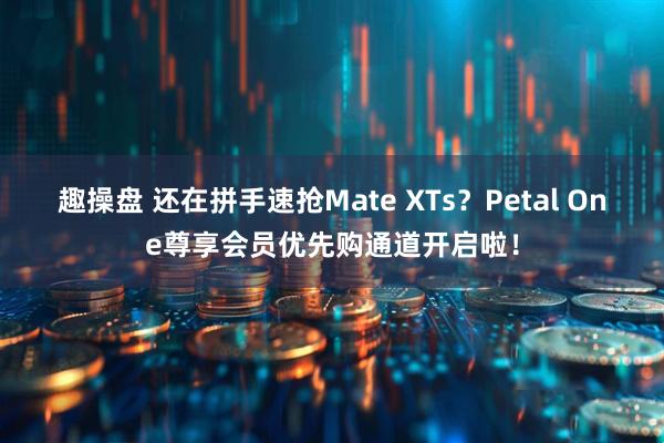 趣操盘 还在拼手速抢Mate XTs？Petal One尊享会员优先购通道开启啦！